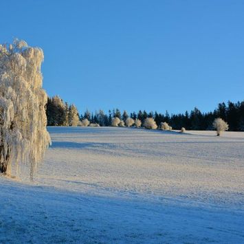 Huberhof Almenland